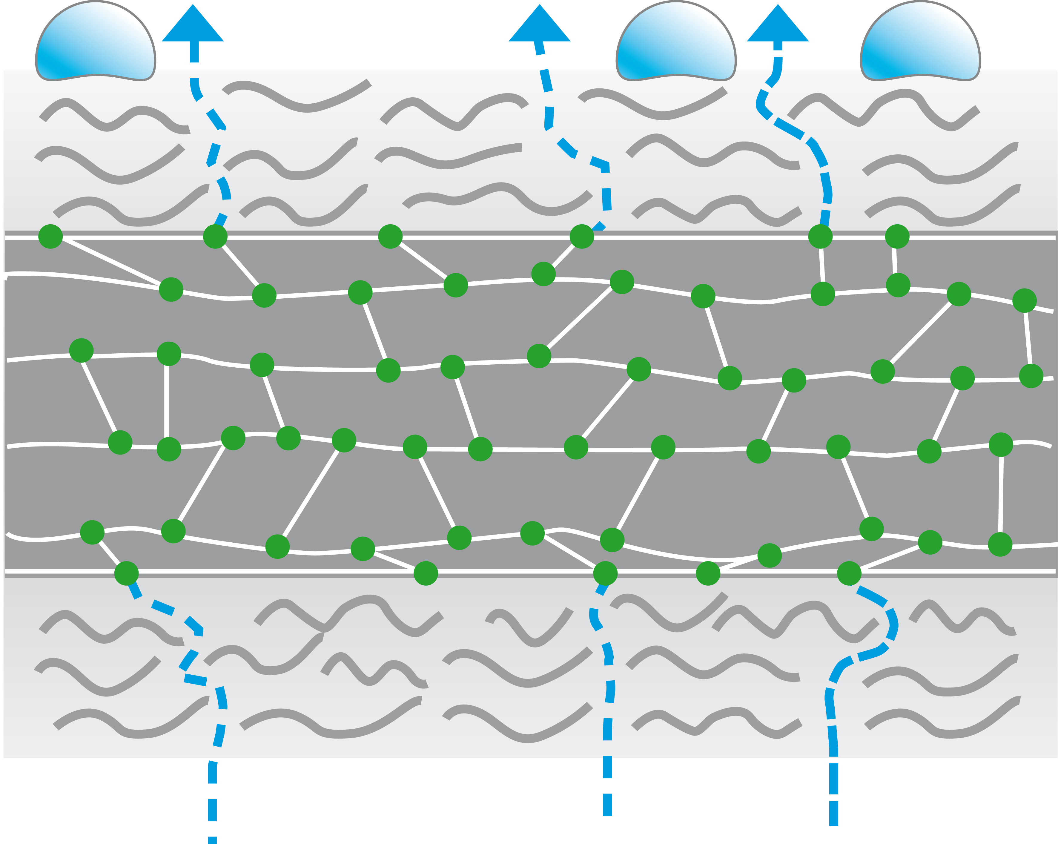Tech membran monolithisch.jpg