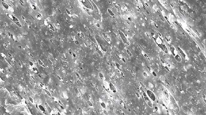 Tech membran mikroporen.jpg