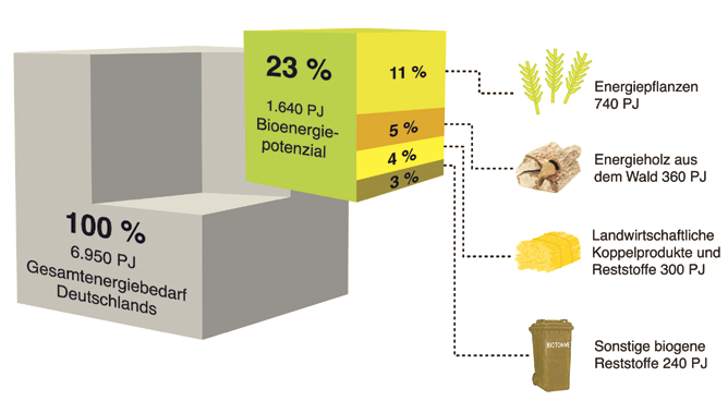 Umwelt nawaro biomasse potenzial.png